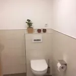 Bradl Appartement Hippach